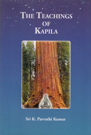 Buch des Monats
