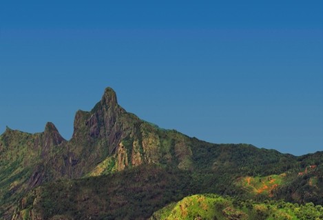 Nilagiris